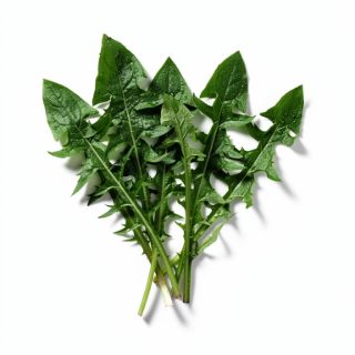 Dandelion Greens